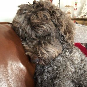 Meet your Posher, Soti